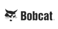 Bobcat